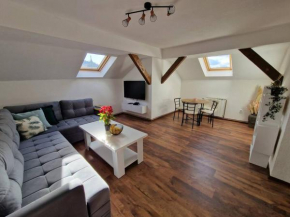 Apartment Marijin Dvor